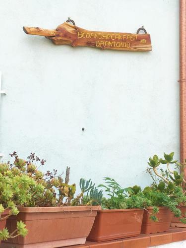 Bed And Breakfast Da Antonio - Orgosolo