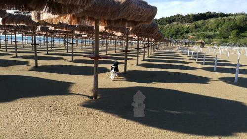 B&B Reale - Ortona