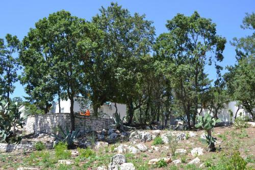 Villaggio La Collina Del Relax
