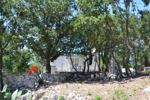 Villaggio La Collina Del Relax