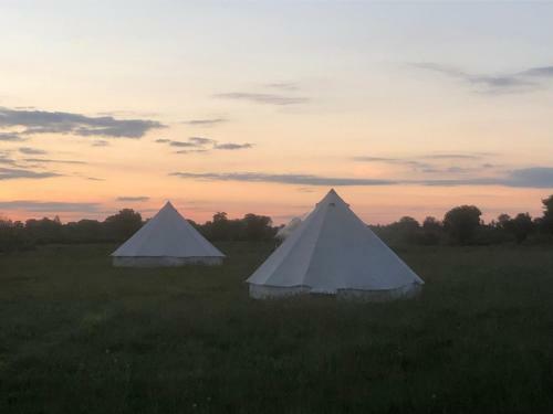 Bluebell Bell Tent In The Broads National Park