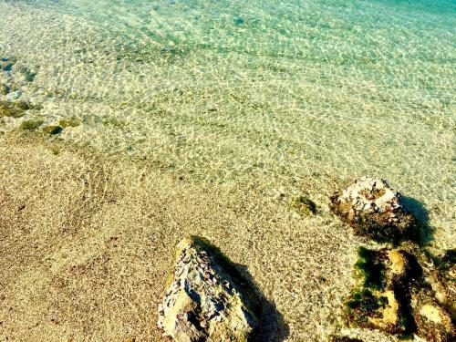 Apartamento Appartamento Mare Antares