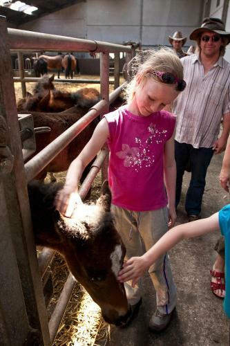 Agroturismo Filippus Vakantiehoeve