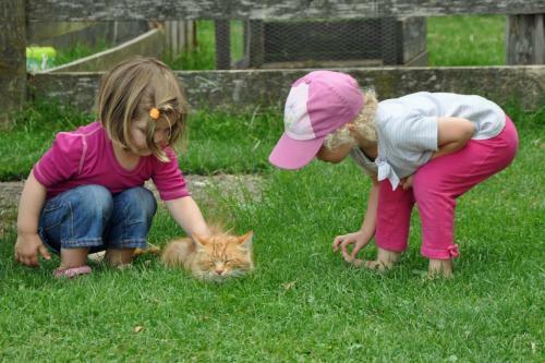 Agroturismo N�glhof