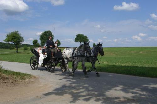 Hostal Pension & Reitstall Inghofer