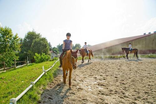 Hostal Pension & Reitstall Inghofer