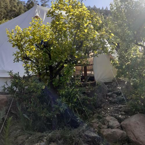 La Finca Del Don Ganapati