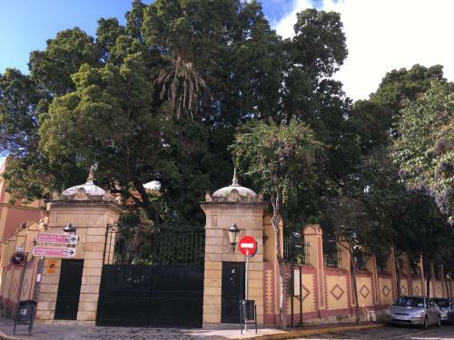 Apartamento Centrico Piso Con Terraza