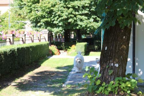 Villa Porta