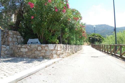 Apartamento Villetta Olivo 5