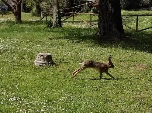 Agroturismo Agriturismo Bio Pian Dei Casali