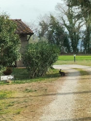 Agroturismo Agriturismo Bio Pian Dei Casali