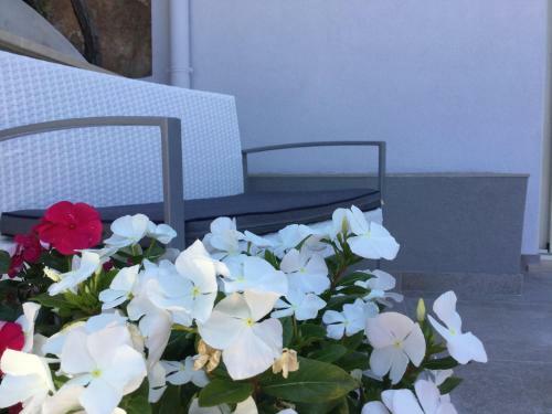 Villa Fiamma