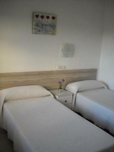 Hostal Flor Blanco
