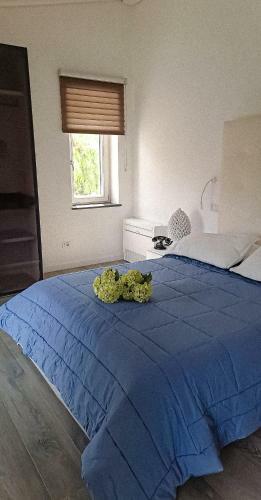 Amore Rentals - Villa Luciana