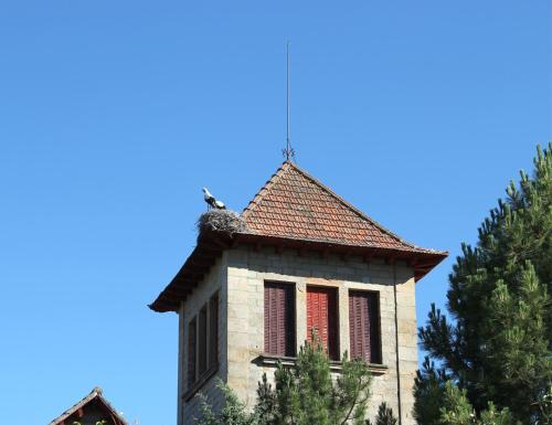Casa Fuente Salada - Vinuesa