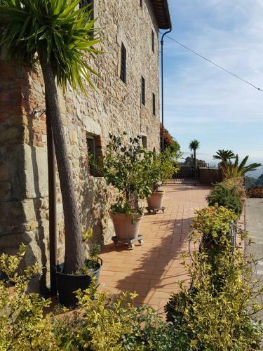 Hostal Affittacamere Adri