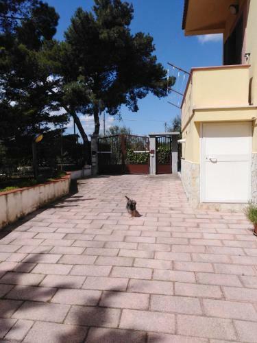 Apartamento Casa Vacanze Orso Bianco