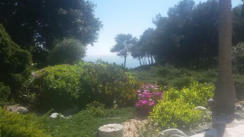 Villa Amadeus Xabia