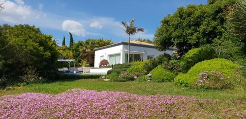 Villa Amadeus Xabia