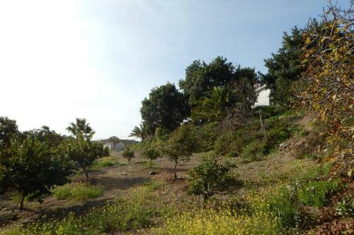 Apartamento Spacious House With Sea View