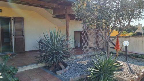 Apartamento Sweet Home