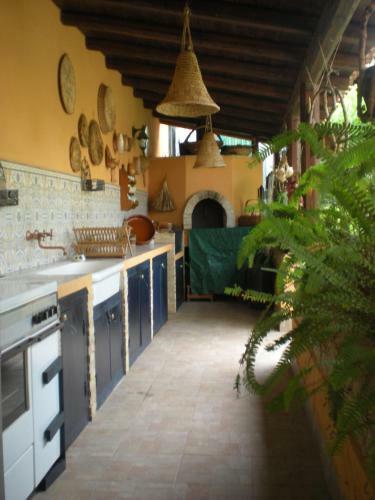L'impronta Di Thalasso