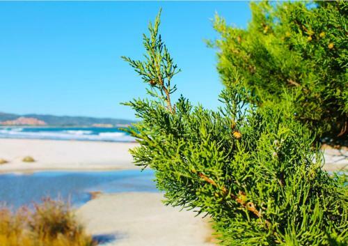 Beachfront- Sulla Spiaggia Villetta Indipendente