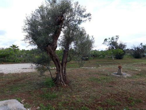 Villetta Li Giannelli