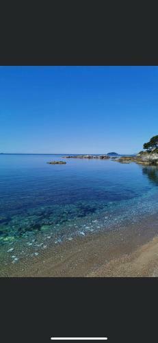 Hostal Il Delfino