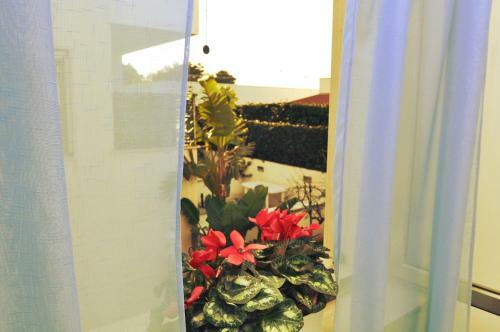Residence Salentoholidays