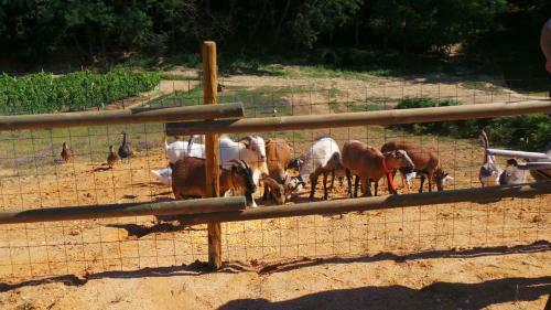 Agroturismo Retour Au Source
