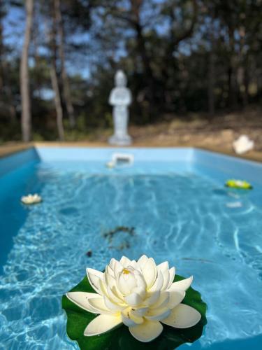 Bed & Breakfast Admirez La Nature, S�journer Diff�remment !