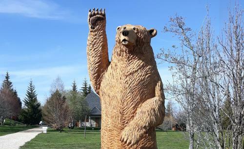 Domaine De L'ours / Camping Lodge