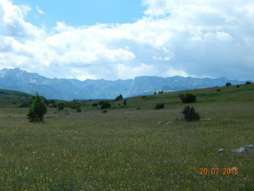 Lodge Mountain Views