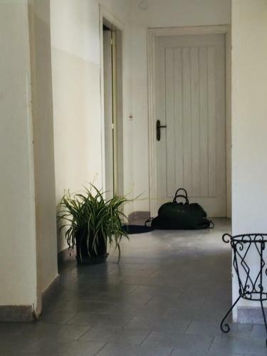 Apartamento La Casa Nel Vicolo