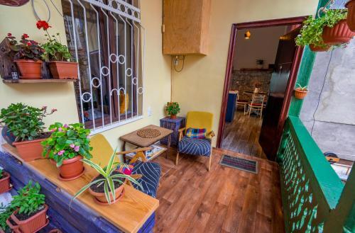 Apartamento Floral Beauty