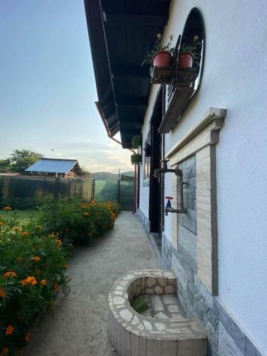 Casa Diana-maria