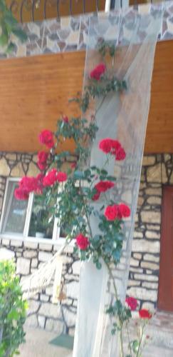Casa Melissa