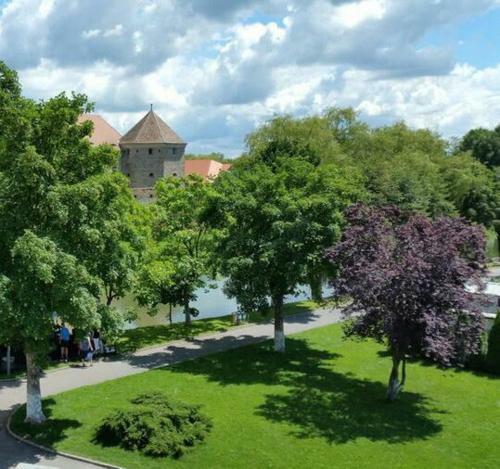 Apartamento Residence Mihai Viteazul