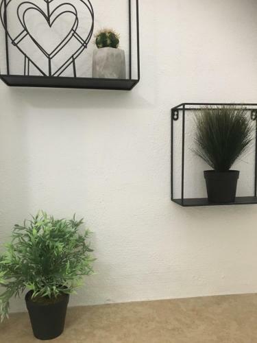 Hostal Orro Rooms