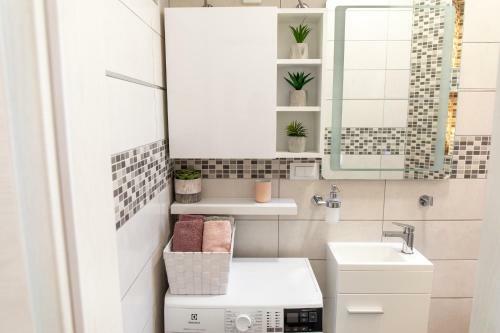 Apartman Ivana Central