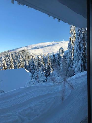 Hostal Pensiunea Montana
