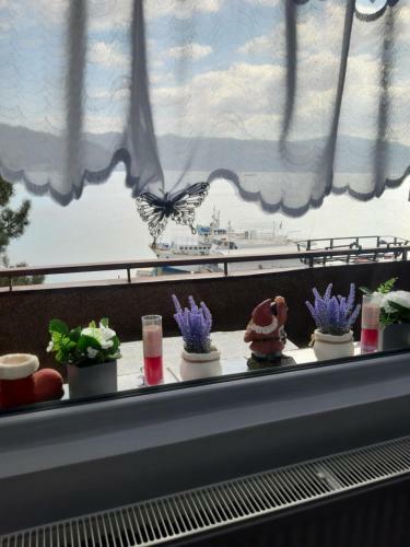 Apartament Eduard