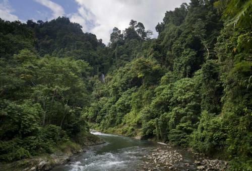 Hostal Eriono Guest House Bukit Lawang