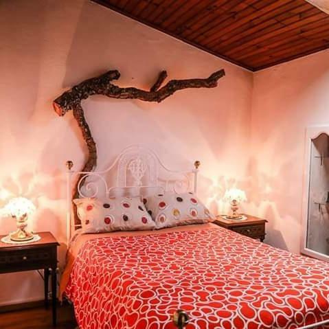 Casa Velha