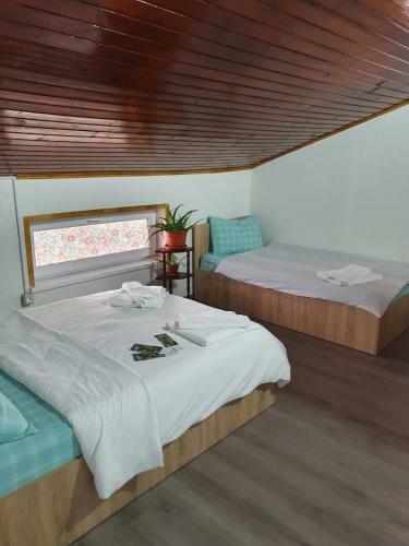 Hostal Casa Radu