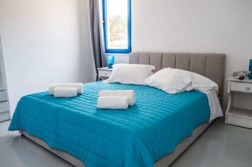 Villa Ble Paros