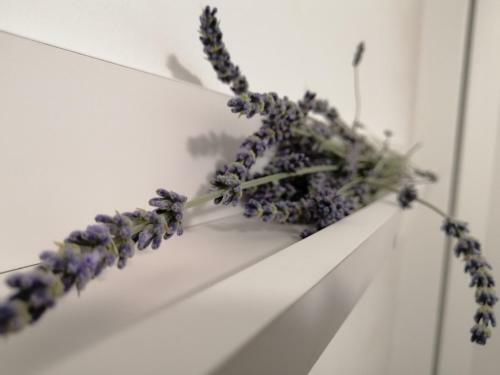 Apartamento Studio Korni?