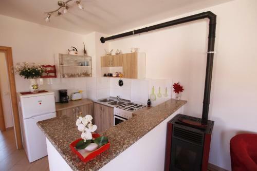 Apartment Nika